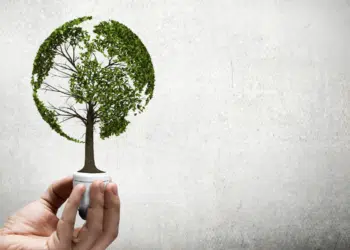 main qui tient un arbre