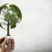 main qui tient un arbre