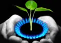 main avec du gaz et une plante à l'intérieur