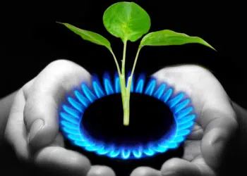 main avec du gaz et une plante à l'intérieur