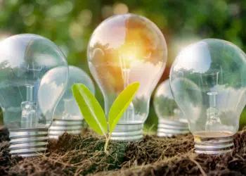 lampes dans la terre avec une plante