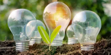 lampes dans la terre avec une plante