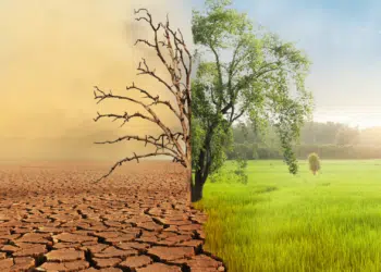 changement climatique