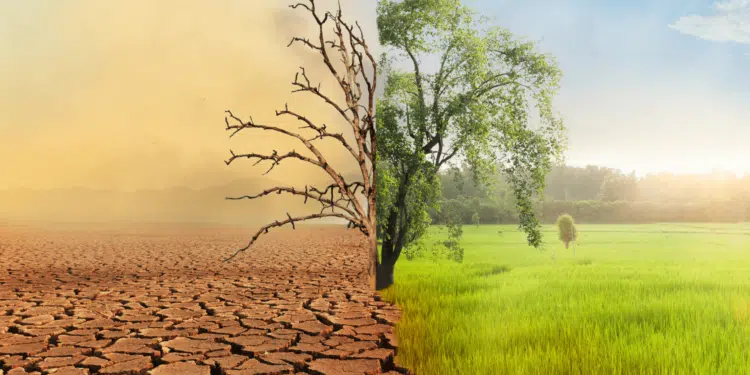 changement climatique