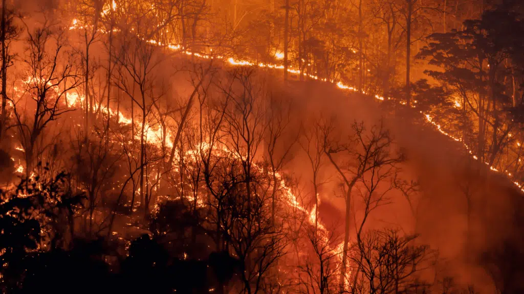 Réchauffement Climatique